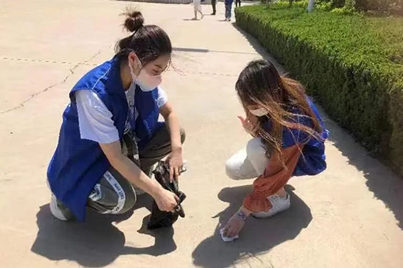 1681713585888391.jpg 1681713585888391.jpg